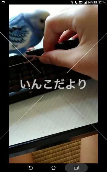 コメントの画像