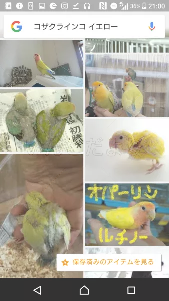 コメントの画像