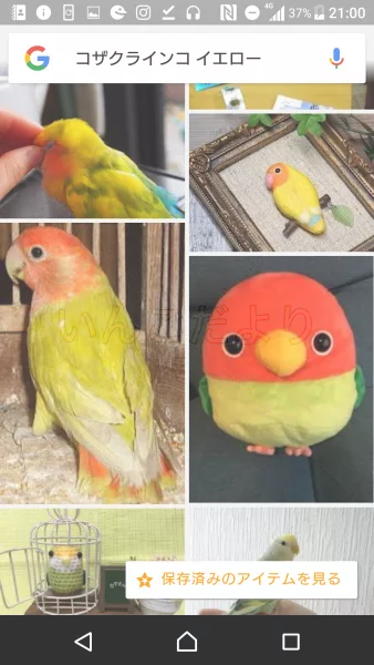 コメントの画像