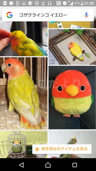 コメントの画像