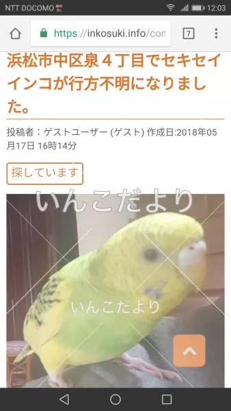 コメントの画像