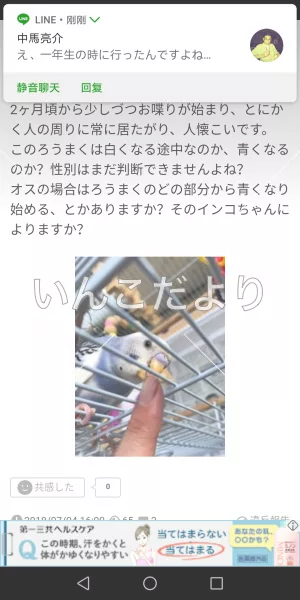 コメントの画像