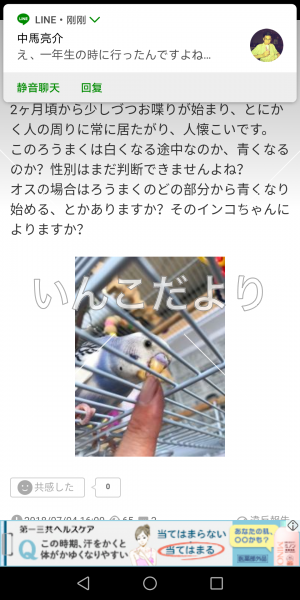 コメントの画像