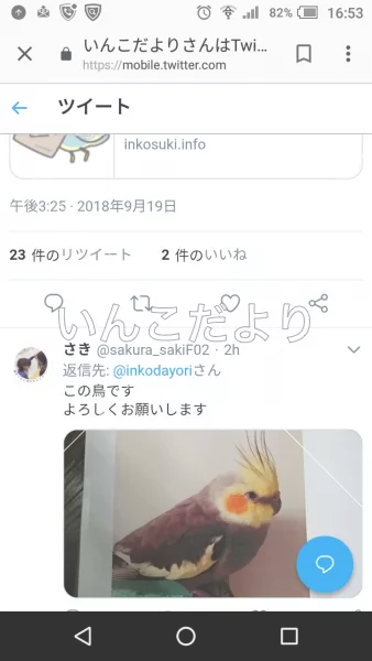 コメントの画像