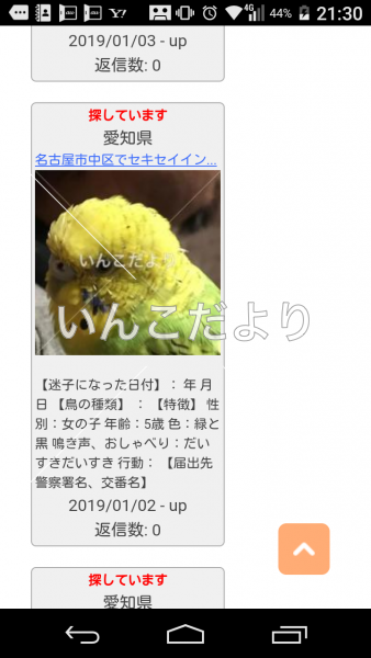 コメントの画像
