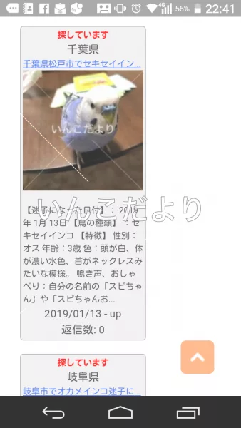 コメントの画像