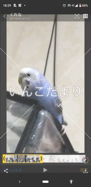 コメントの画像