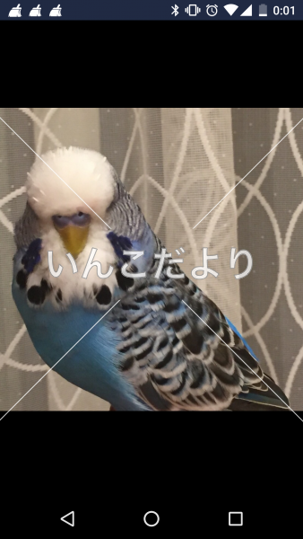 コメントの画像