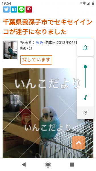 コメントの画像