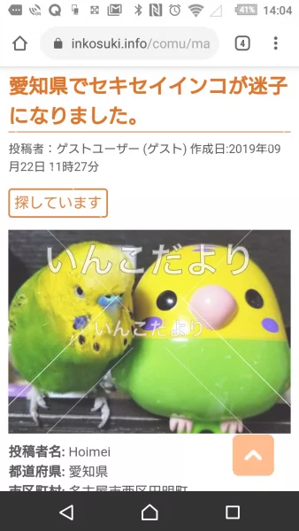 コメントの画像