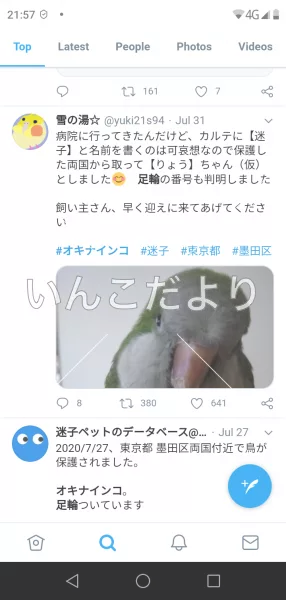 コメントの画像