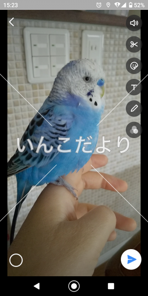 コメントの画像