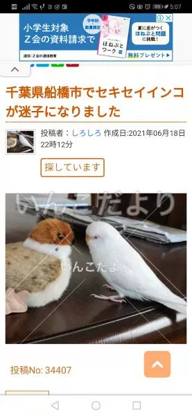 コメントの画像