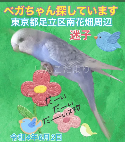 コメントの画像