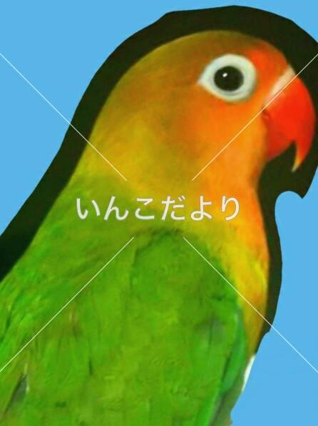 コメントの画像
