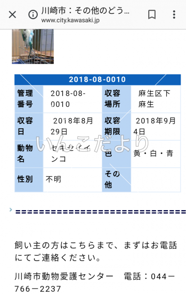 コメントの画像
