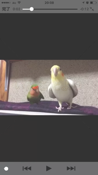 コメントの画像