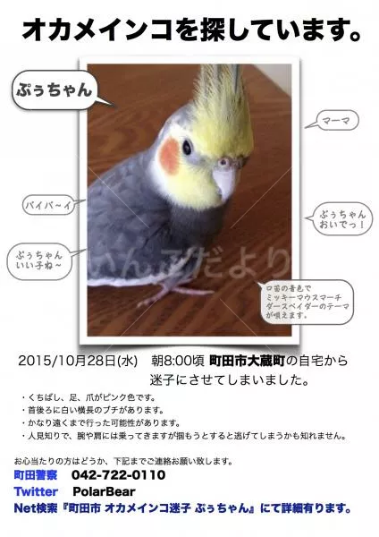 コメントの画像