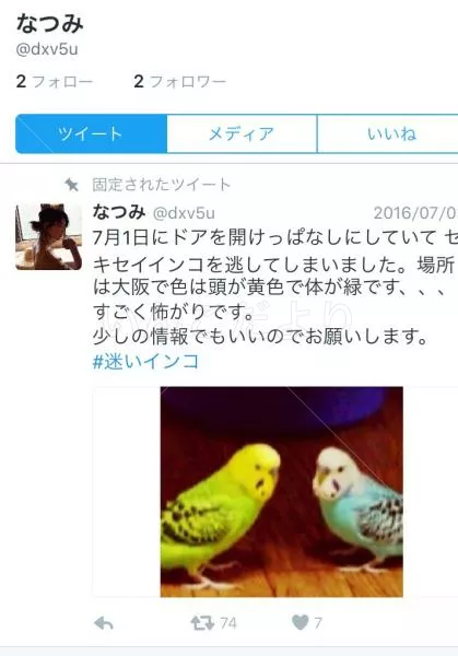 コメントの画像