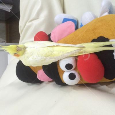 コメントの画像