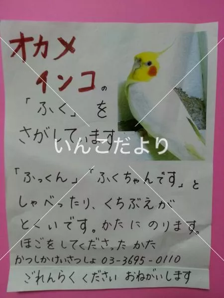 コメントの画像