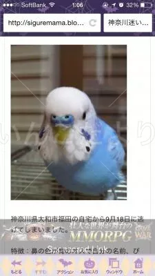 コメントの画像