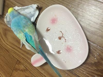 コメントの画像