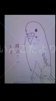 コメントの画像