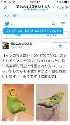 コメントの画像