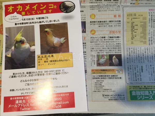 コメントの画像