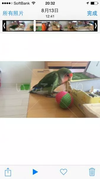 コメントの画像