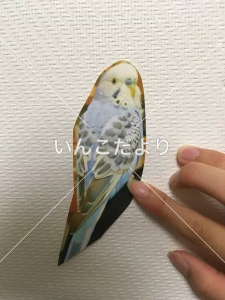 コメントの画像