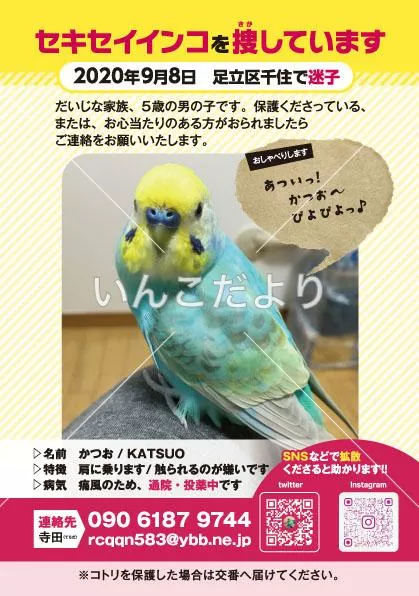 コメントの画像