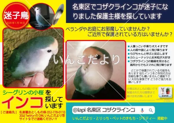 コメントの画像