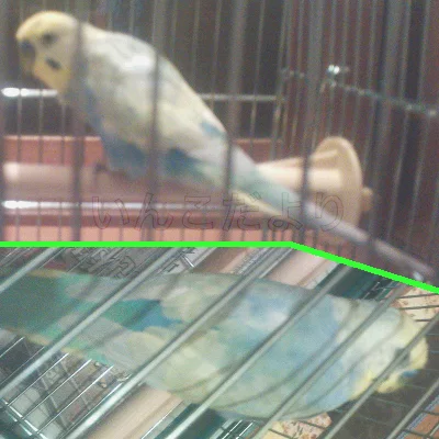 コメントの画像