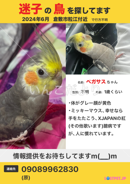 コメントの画像