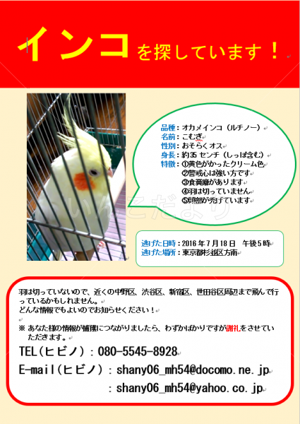 コメントの画像