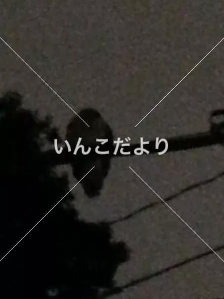 コメントの画像