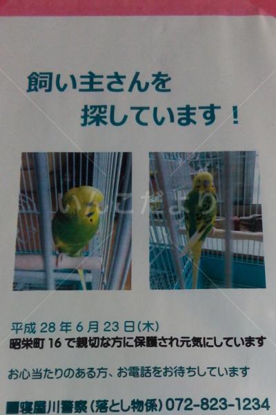 コメントの画像