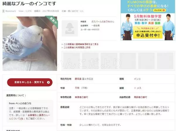 コメントの画像