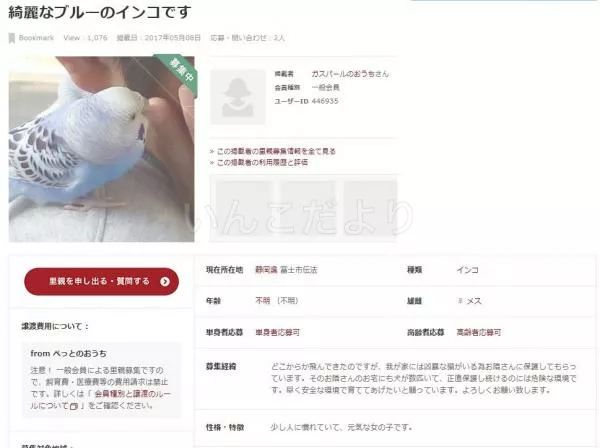 コメントの画像