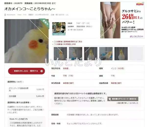 コメントの画像