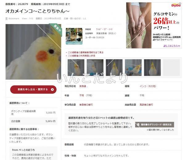 コメントの画像