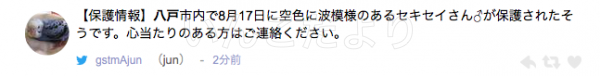 コメントの画像