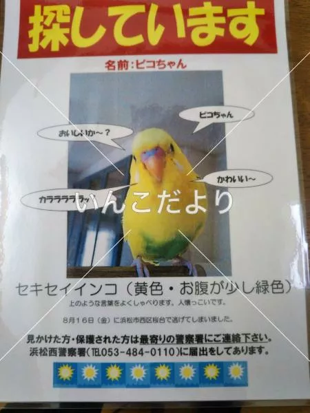 コメントの画像