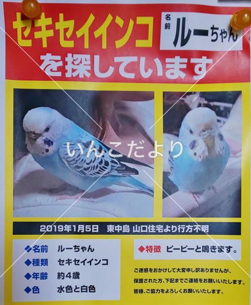 コメントの画像