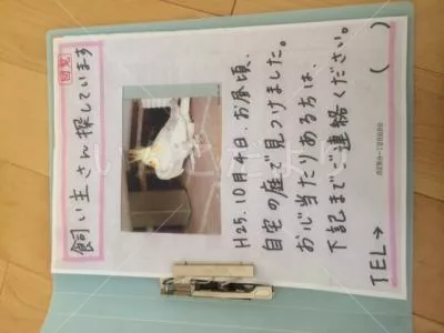 コメントの画像