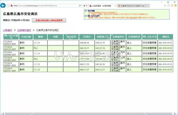 コメントの画像