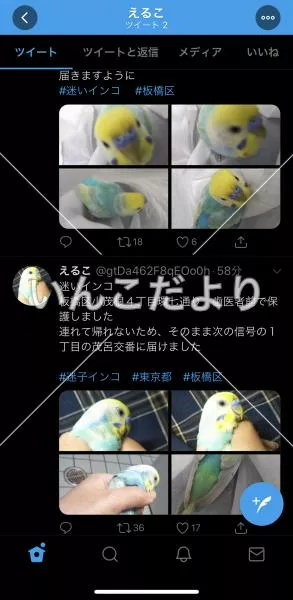 コメントの画像