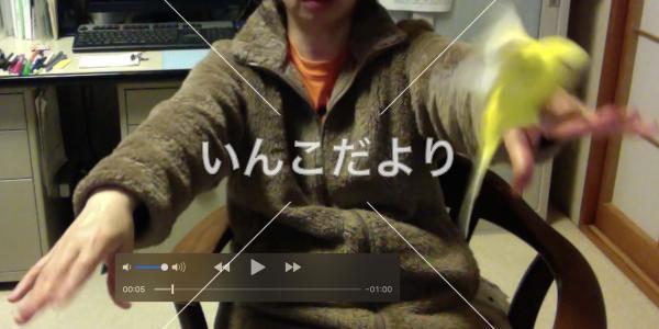 コメントの画像